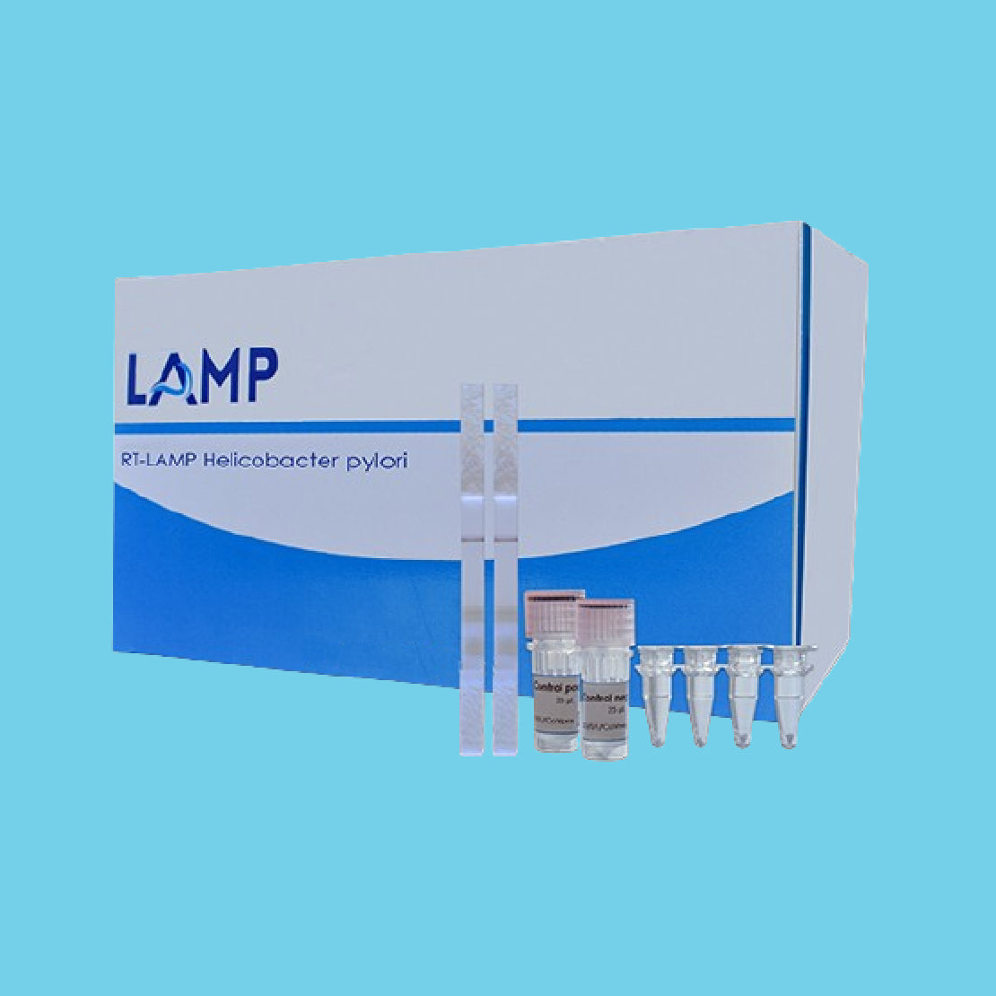 PCR rápida-LAMP para Helicobacter pylori