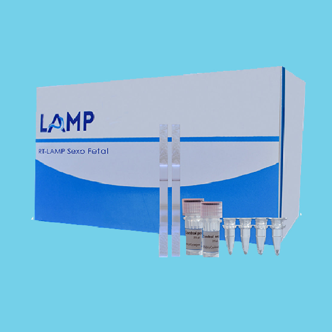 PCR rápidas-LAMP para Sexo fetal