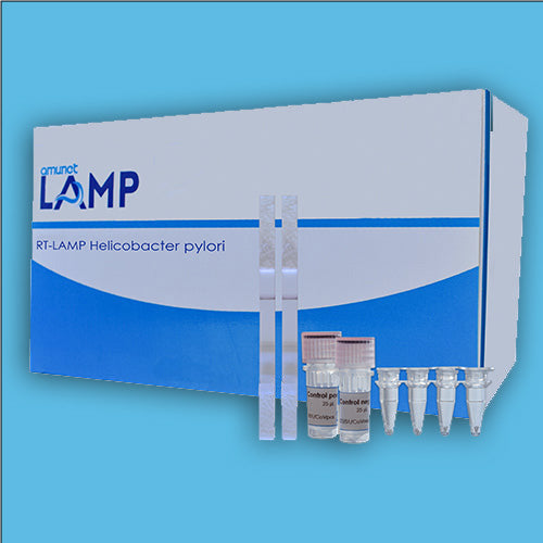 PCR rápida-LAMP para Helicobacter pylori